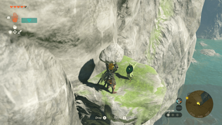 TotK - Korok Seed