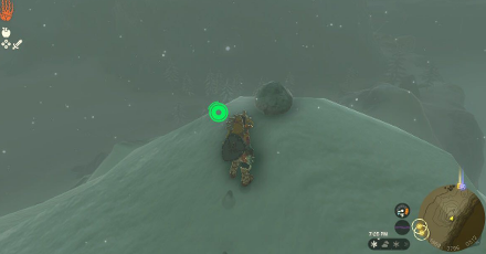 TotK - Korok Seed