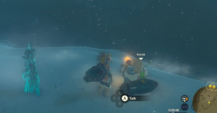 TotK - Korok Seed x2