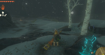 TOTK - Wetland Stable Korok Seed