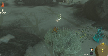 TotK - Korok Seed