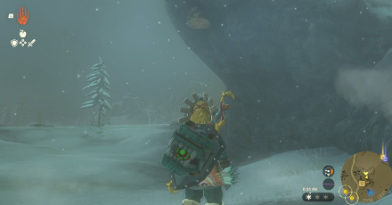 TOTK - Wetland Stable Korok Seed