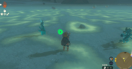 TotK - Korok Seed