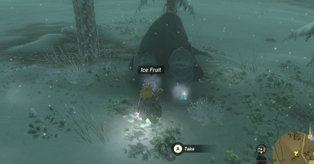 TOTK - Wetland Stable Korok Seed