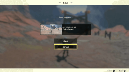 Zelda TotK - How to Duplicate a Weapon Step 3