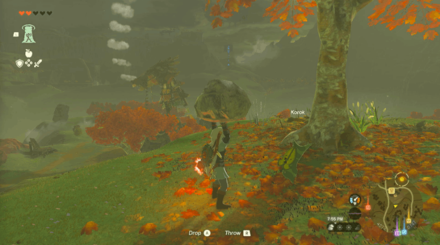 TOTK - Wetland Stable Korok Seed