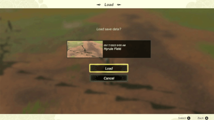 Zelda TotK - How to Duplicate Bows and Shields Step 8