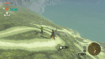 TotK - Korok Seed