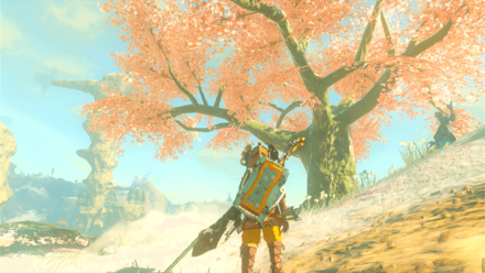 Zelda TotK - Tabantha Frontier Cherry Blossom Tree Overworld