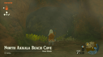 North Akkala Beach Cave Entrance Overworld Image