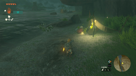 TotK - Korok Seed x2