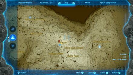 Tears of the Kingdom - Selmie