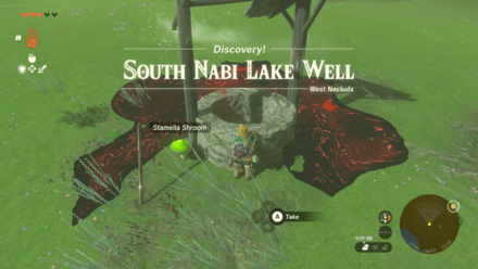 South Nabi Lake Well Entrance Overworld Image