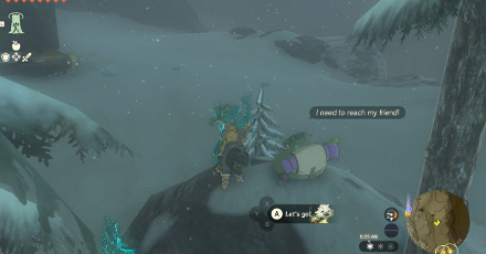 TotK - Korok Seed x2