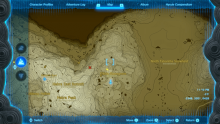 Tears of the Kingdom - Pikida Stonegrove