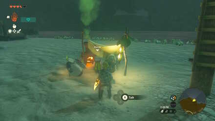 TotK - Korok Seed x2