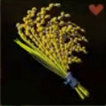 Legend of Zelda TOTK Hylian Rice