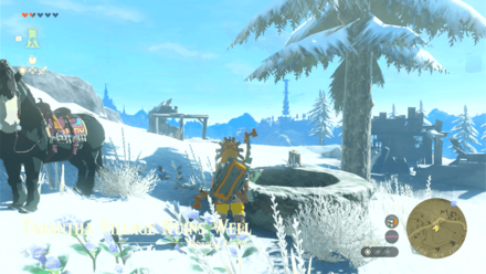 Tabantha Village Ruins Well Entrance Overworld Image