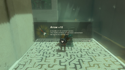 Zelda Tears of the Kingdom TotK