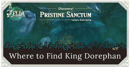 Zelda TOTK - Where to Find King Dorephan