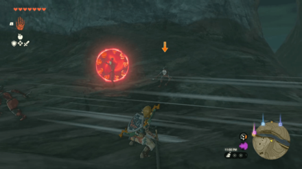 Zelda Tears of the Kingdom TOTK - Princess Zelda Kidnapped Evade Dash Attacks