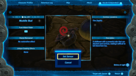 TotK - Using the Sensor