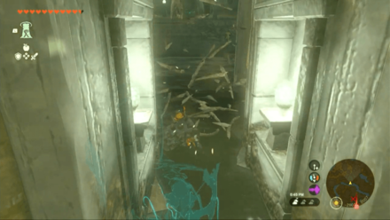 Tears of the Kingdom - Charged Headdress Vines