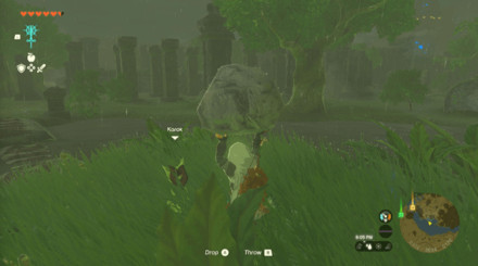 TotK - Korok Seed