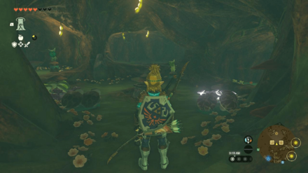 Tears of the Kingdom - Korok Forest Spore Store