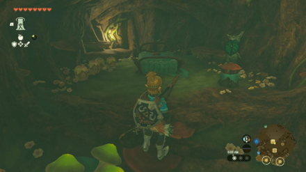 Tears of the Kingdom - Korok Forest Inn