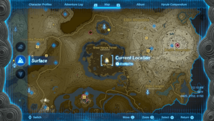 Tears of the Kingdom TOTK - Korok Forest