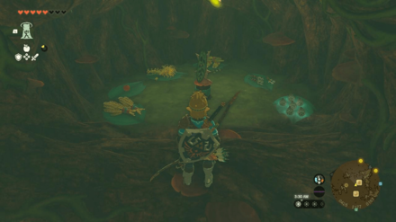 Tears of the Kingdom - Korok Forest General Shop
