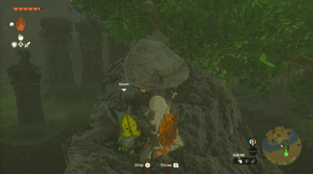 TotK - Korok Seed