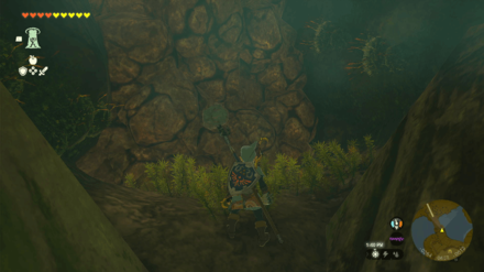 Zelda TotK - Access Royal Hidden Passage Step 9