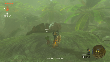 TotK - Korok Seed