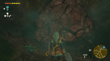 Zelda TotK - Access Royal Hidden Passage Step 11