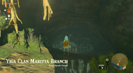 Yiga Clan Maritta Branch Entrance Overworld Image