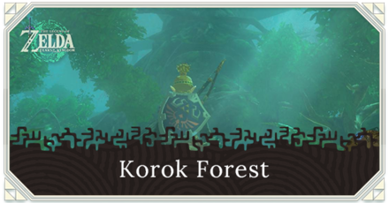 Tears of the Kingdom - Korok Forest