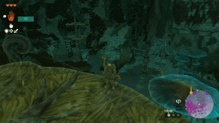 TotK - Lanayru Great Spring Depths