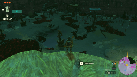 TotK - Lanayru Wetlands Depths