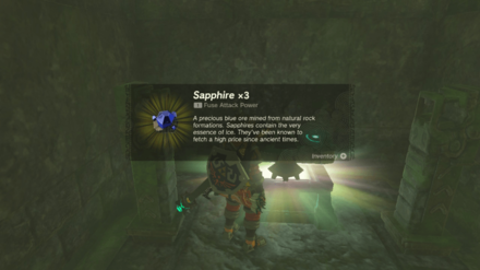 TOTK - Owl Protected by Dragons Chest