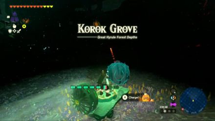Zelda Tears of the Kingdom TotK - Korok Grove found