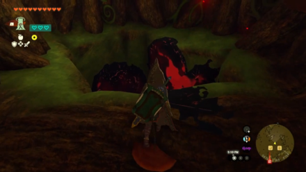 Zelda Tears of the Kingdom TotK - Deku Tree Chasm