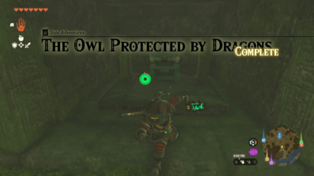 Zelda Tears of the Kingdom TOTK - Complete Owl Protected By Dragons