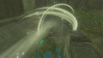 TOTK - Owl Protected By Dragons Tulin