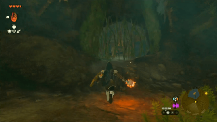 TotK Using Fire to Burn Vines