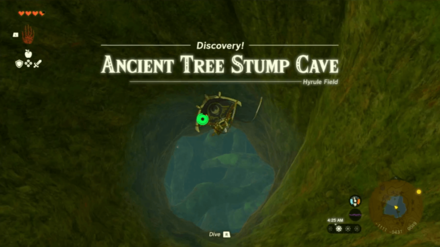 TotK Ancient Tree Stump Cave