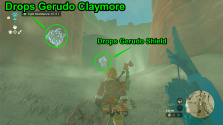 TotK - Gerudo Shield World View