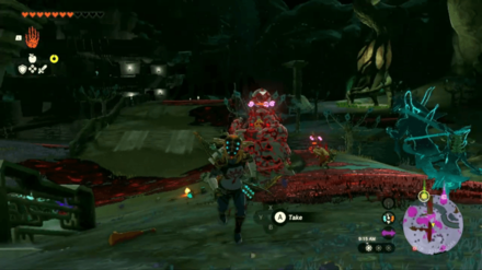 TOTK - Fight Enemies