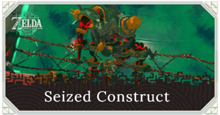 Zelda Tears of the Kingdom (TotK) - Seized Construct